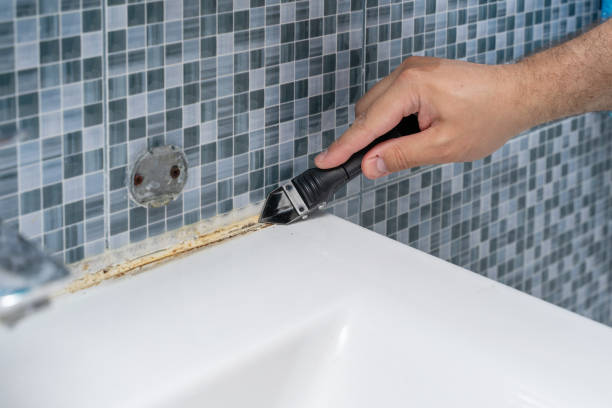 Best Attic Mold Removal  in Remgton, IN